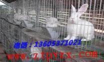 氣囊供應商/生產供應【船舶上排、下水用氣囊】價格-臨朐潤達水囊廠